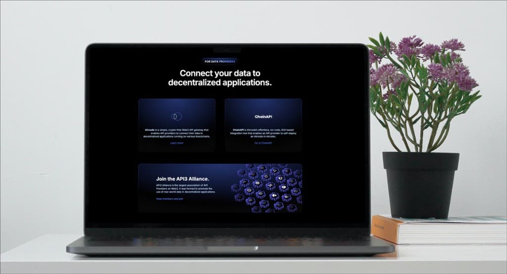 API3 — For Data Providers
